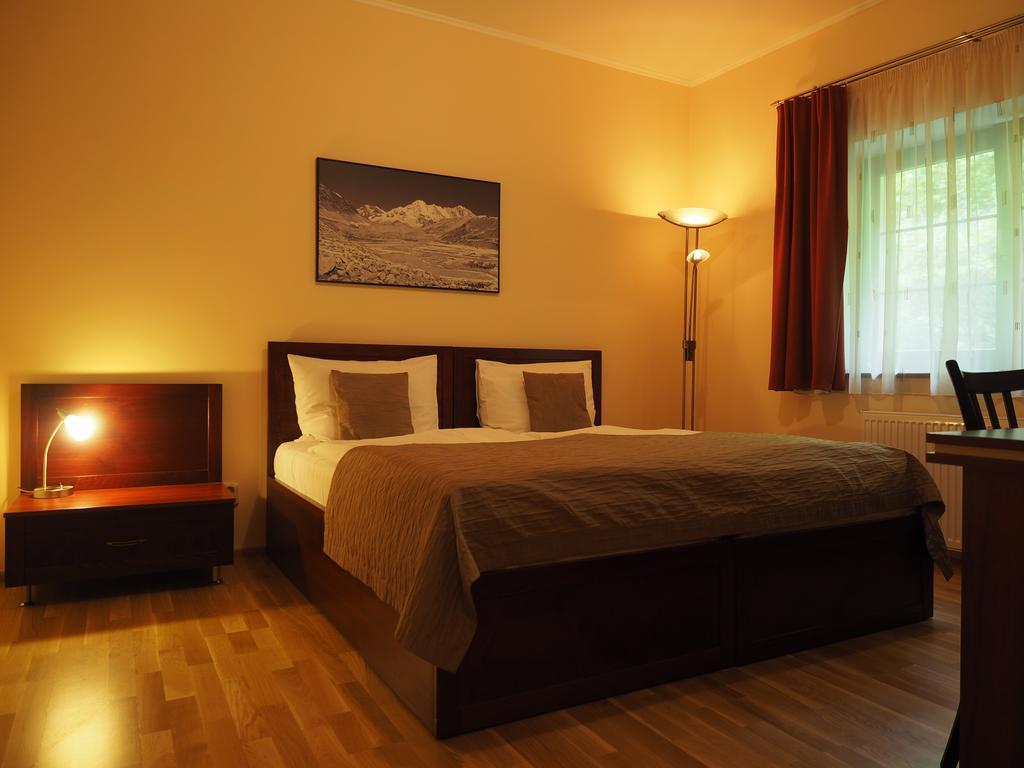 Hotel Vyprez - דצ'ין מראה חיצוני תמונה